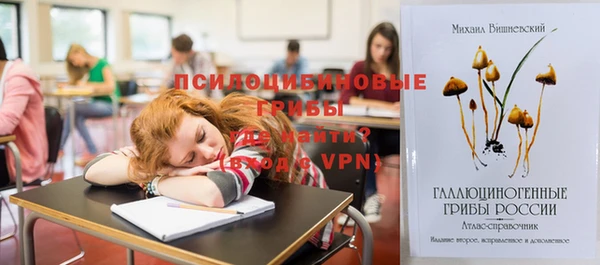 дурь Алексин