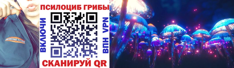 Псилоцибиновые грибы Cubensis  где купить наркоту  Канск 