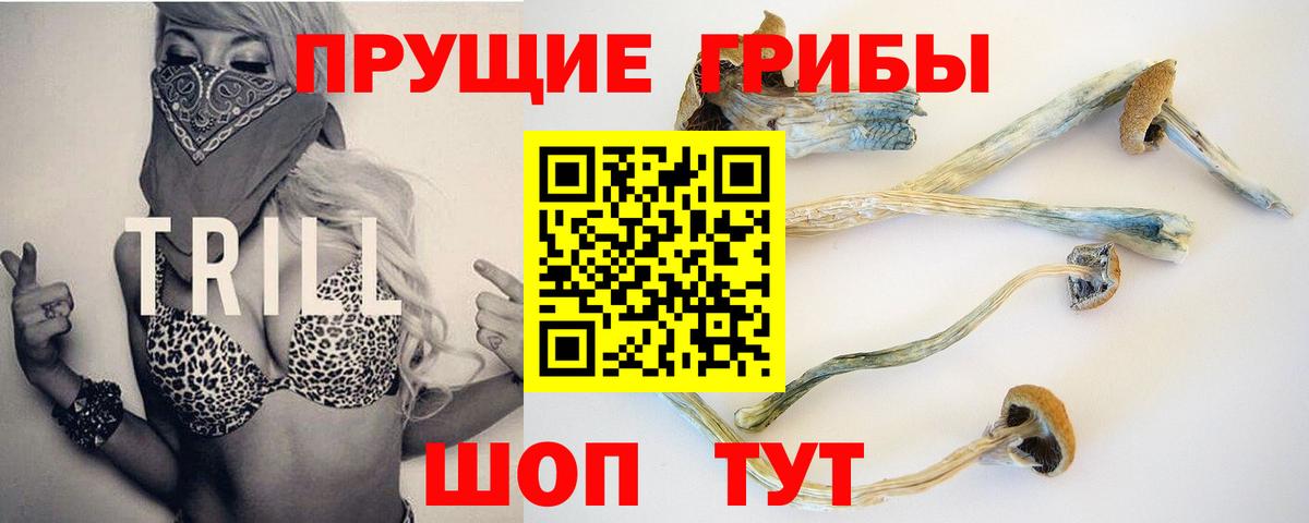 Галлюциногенные грибы GOLDEN TEACHER Канск